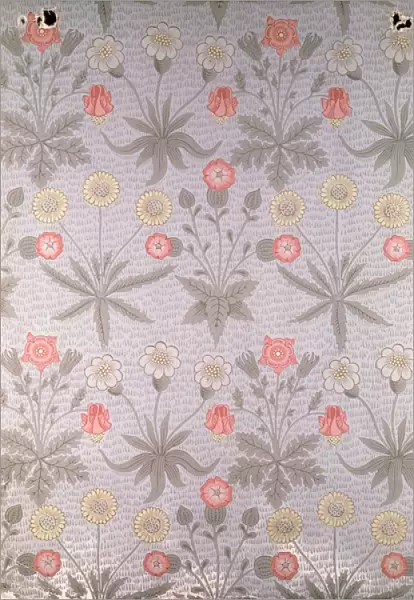 Daisy wallpaper design, from a folio of designs by William Morris, 1864