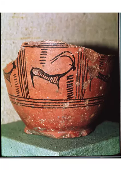 Fragment of a vase depicting an ibex, from Mohenjo-Daro, Indus Valley, Pakistan (ceramic)