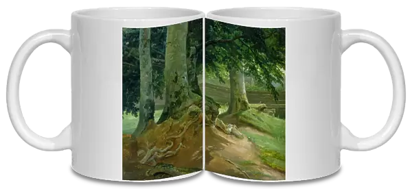 Beech Trees in Frederiksdal near Copenhagen, 1828 (oil on paper mounted on card)