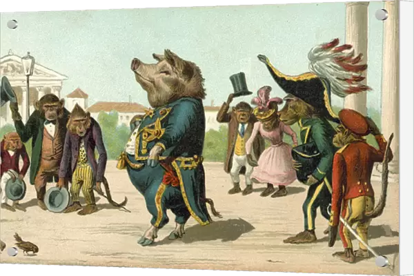 Pig dressed as a general (colour litho)