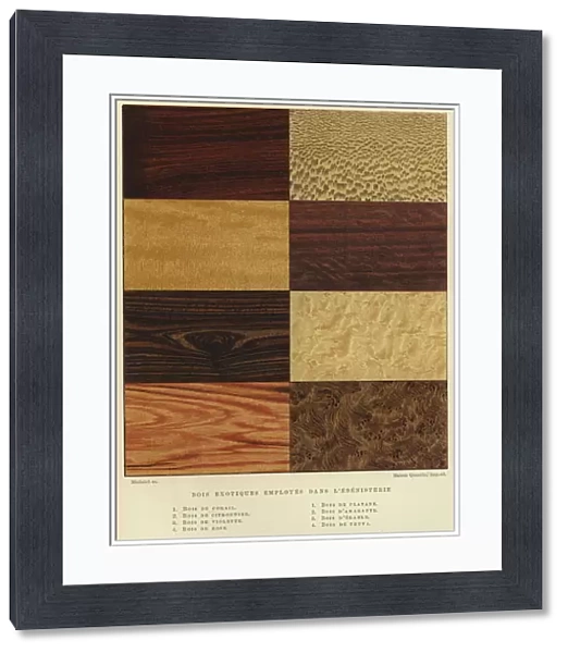 Types of exotic wood used in cabinet making (colour litho)