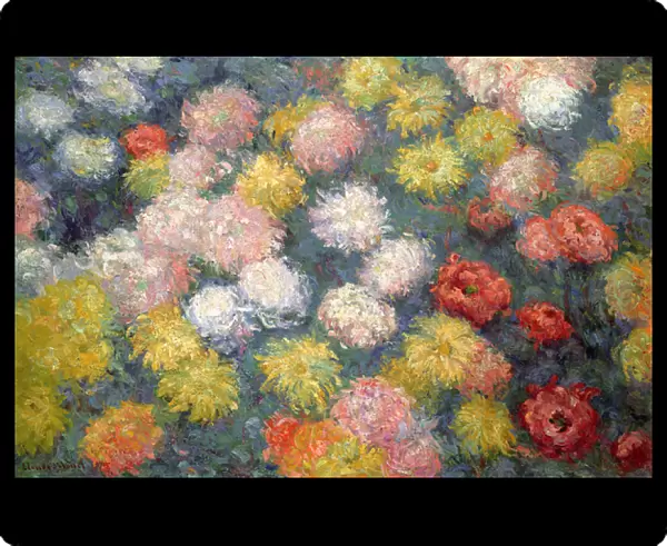 Chrysanthemums, 1897 (oil on canvas)