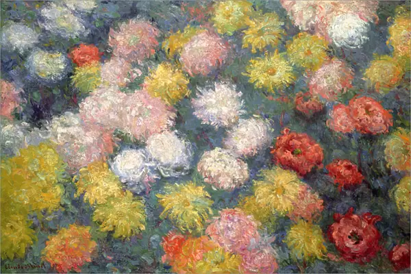 Chrysanthemums, 1897 (oil on canvas)
