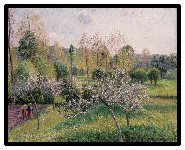 Apple Trees in Blossom, Eragny, 1895 (oil on canvas)