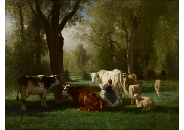 Landscape with Cattle and Sheep, 1852-8 (oil on canvas)