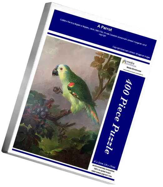 A Parrot. OJ8855 A Parrot by Bogdani or Bogdany, Jakob 