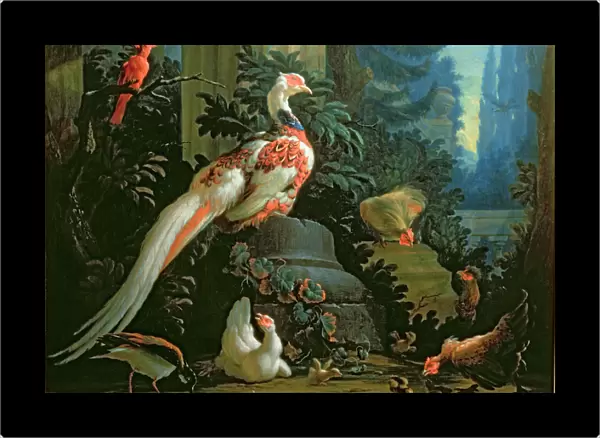 A White Pheasant, a Red Cardinal and Fowl in a Landscape