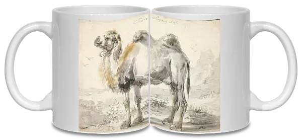 A camel (black chalk, over brush and gray wash, with touches of brown and ochre chalk