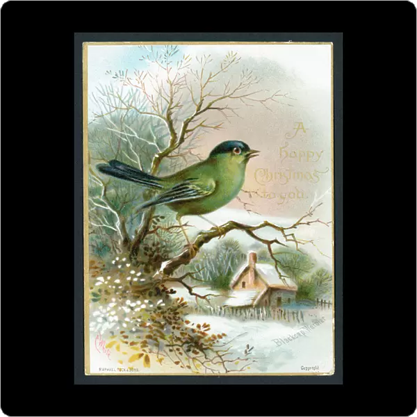 Blackcap Warbler, Christmas Card (chromolitho)
