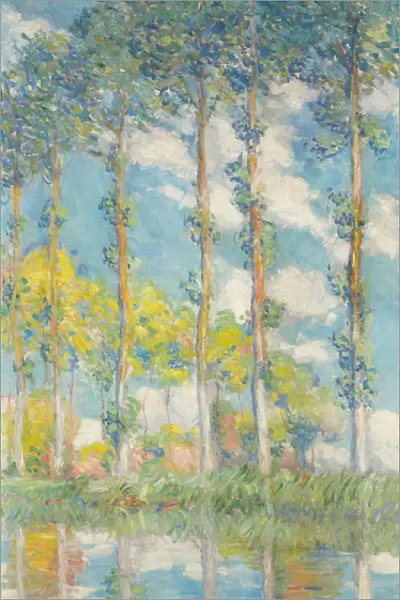 The Poplars; Les Peupliers, 1891 (oil on canvas)