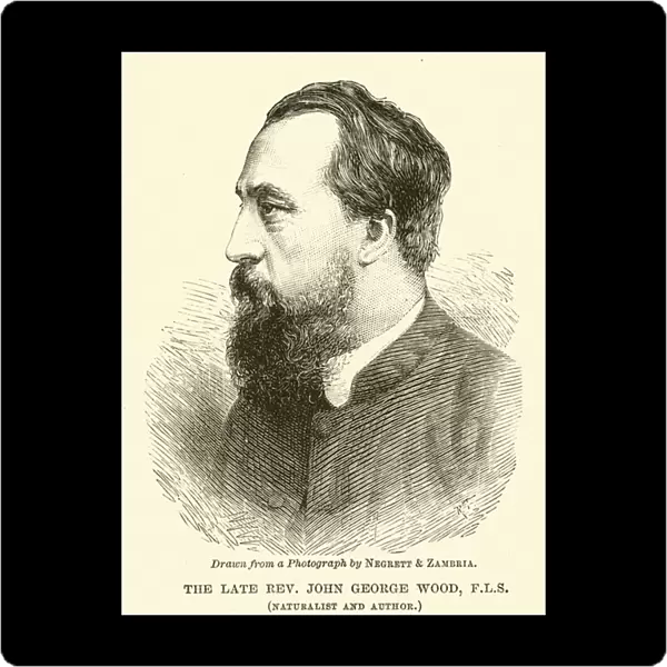 The Late Reverend John George Wood, FLS, naturalist and author (engraving)