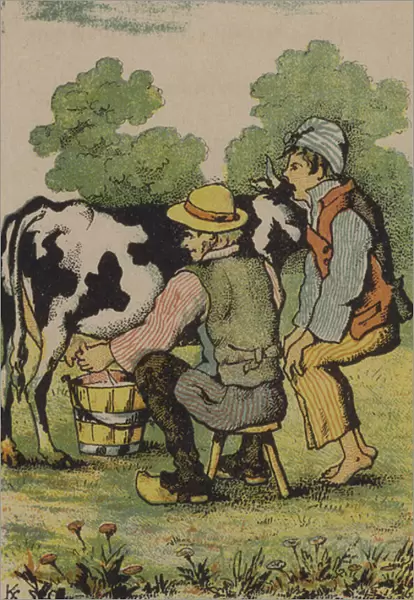 Milking a cow (colour litho)