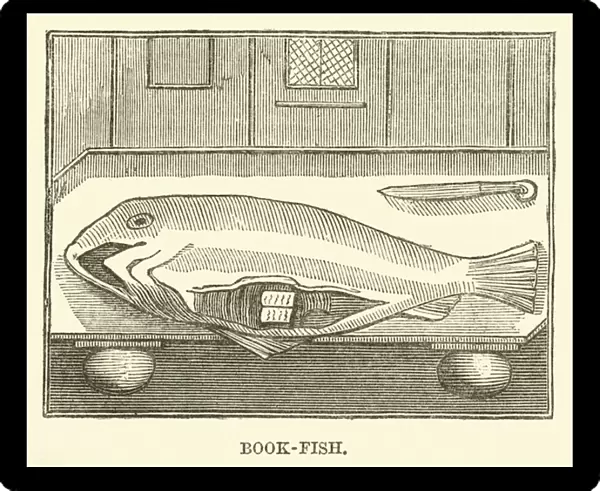 Book-Fish (engraving)