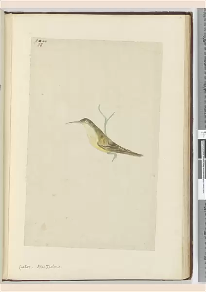 F. 28 Cuckoo. New Zealand, 1772-75 (w  /  c)