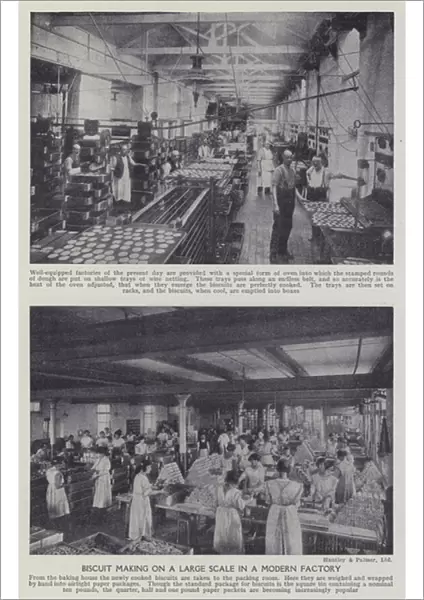 Biscuit making on a large scale in a modern factory (b  /  w photo)