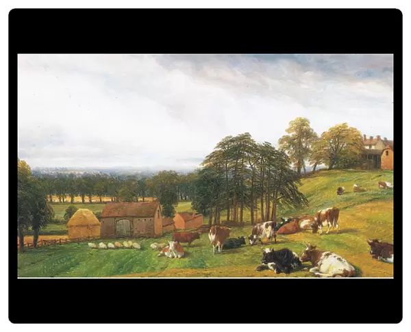 Cattle and sheep at the Old Park Farm (colour litho)