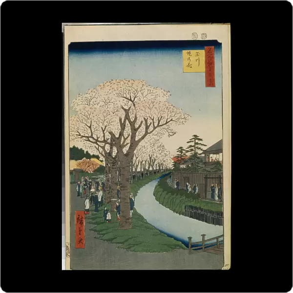 Cent vues celebres d'Edo : Cherry Blossoms on the Banks of the Tama River (One Hundred Famous Views of Edo) - Hiroshige, Utagawa (1797-1858) - 1856-1858 - Colour woodcut - State Hermitage, St. Petersburg