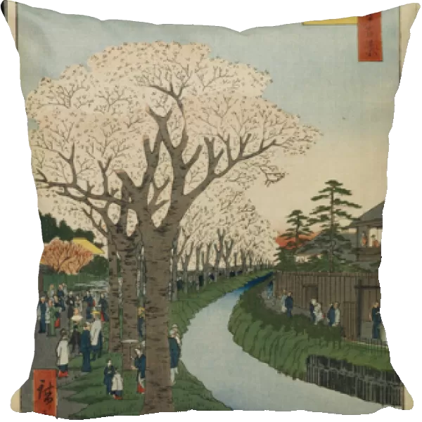 Cent vues celebres d'Edo : Cherry Blossoms on the Banks of the Tama River (One Hundred Famous Views of Edo) - Hiroshige, Utagawa (1797-1858) - 1856-1858 - Colour woodcut - State Hermitage, St. Petersburg
