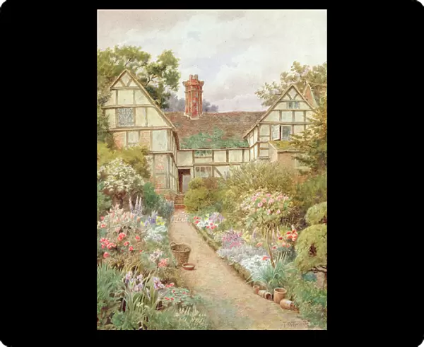Cottage Garden (w  /  c on paper)