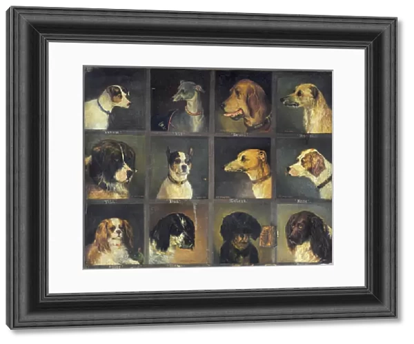 Twelve Favourite Dogs, 1883