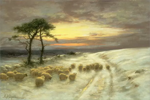 Sheep in the Snow (oil on canvas)