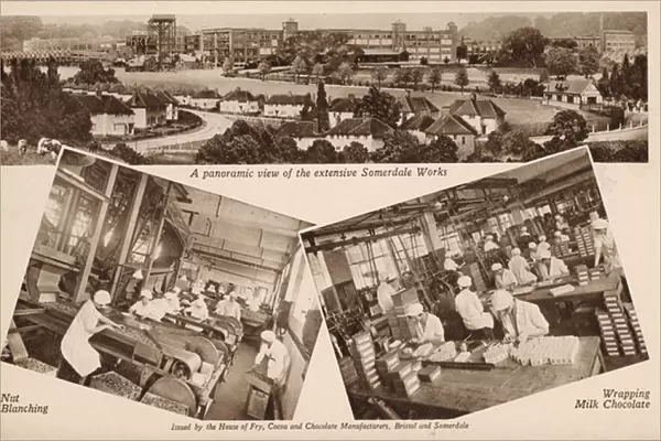 Views of the Somerdale works of chocolate manufacturers, Js Fry and Sons, Keynsham, Somerset (b  /  w photo)