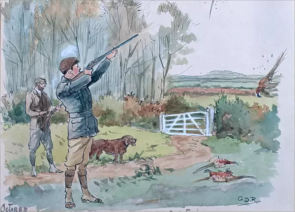 The Month of October: Pheasant Shooting (pen & ink and w  /  c on paper)