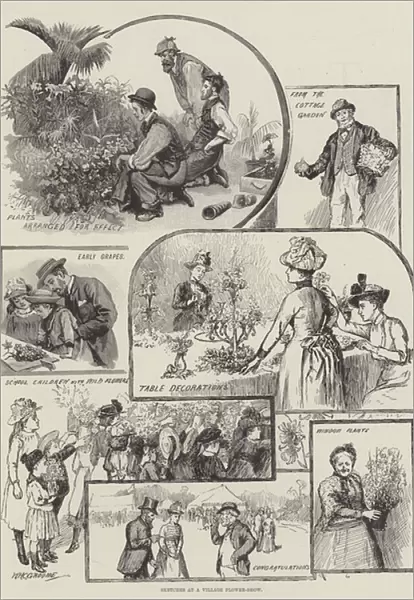 Sketches at a Village Flower-Show (engraving)
