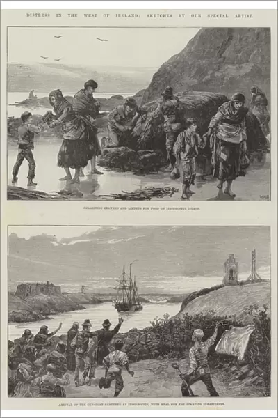 Distress in the West of Ireland (engraving)