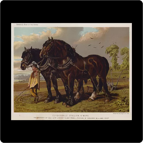 Clydesdale Stallion and Mare, The Property of Colonel Loyd Lindsay, VC, MP (colour litho)