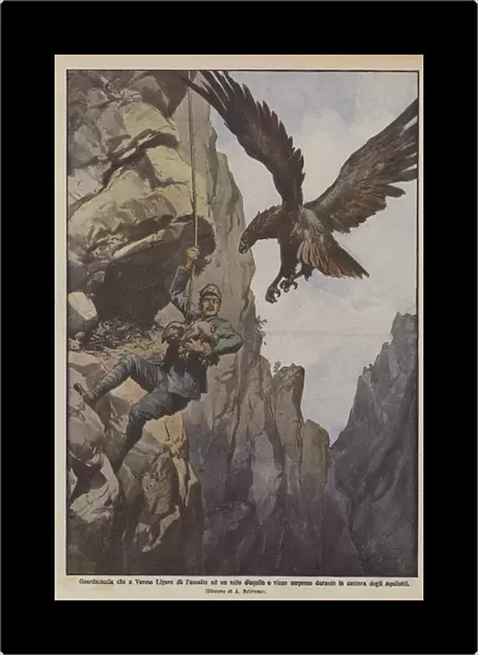 Gamekeeper who in Varese Ligure attacks an eagles nest and is surprised during... (colour litho)