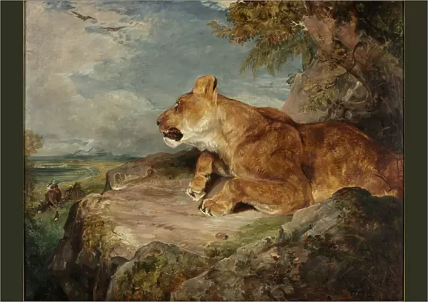 The Lioness, c. 1824-27 (oil on canvas)