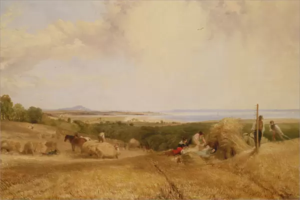 The Harvest Field, 1846 (oil on canvas)