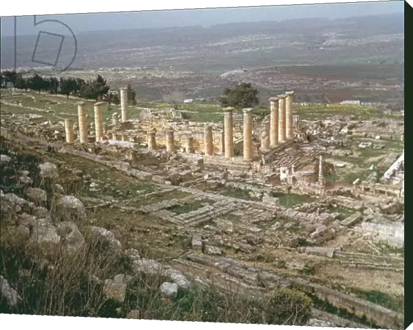 General view of lower Cyrene (photo)