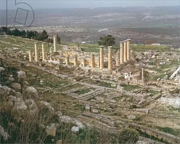 General view of lower Cyrene (photo)