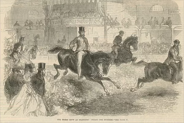 The horse show at Islington (engraving)