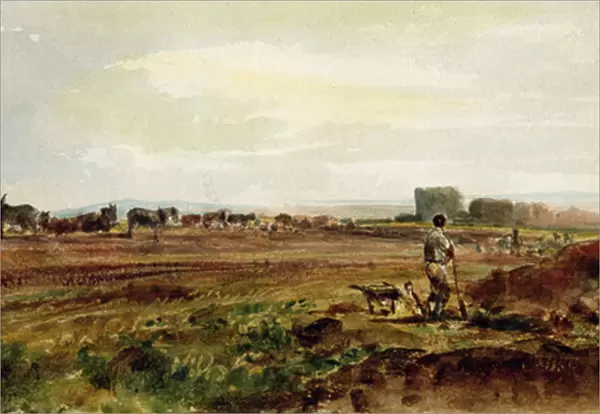 Ploughing the Heathland, Lincolnshire (w  /  c on paper)
