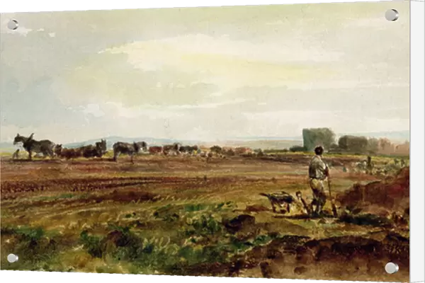 Ploughing the Heathland, Lincolnshire (w  /  c on paper)