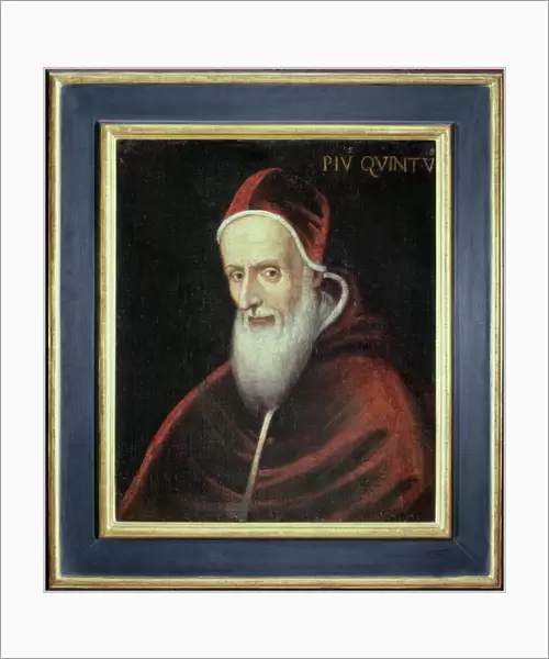 Portrait of Pope Pius V (1504-72) (oil on canvas)