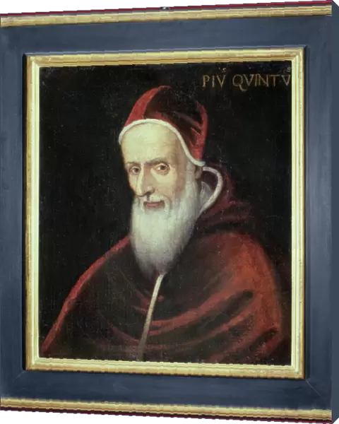 Portrait of Pope Pius V (1504-72) (oil on canvas)