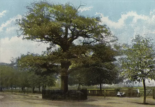 The Midland Oak, Leamington (photo)
