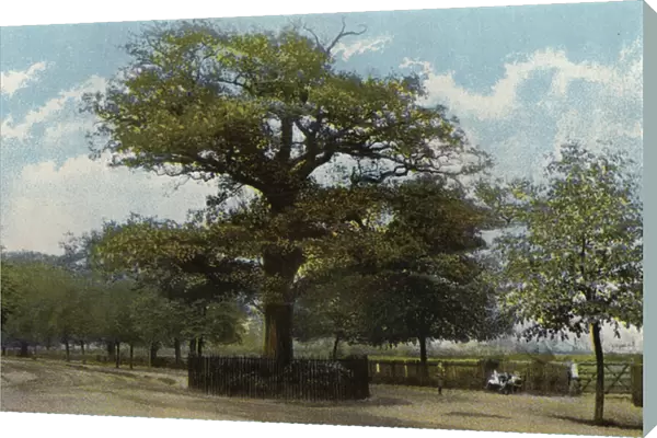 The Midland Oak, Leamington (photo)