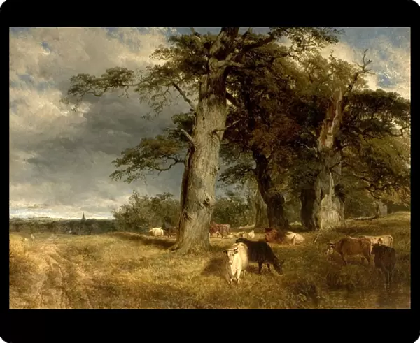 Landscape in the Dukeries, Nottinghamshire, 1850 (oil on canvas)