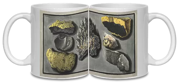 Specimens of volcanic matter found in the crater of Vesuvius, Plate XXXXVI