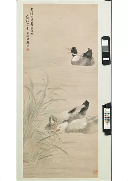 Ducks, 1885 (hanging scroll, ink & colour on paper)