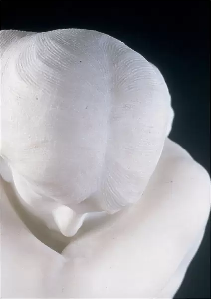 Detail of Eve After Fishing (Modesty), c. 1897 (marble) (see also 496172 and 496181)