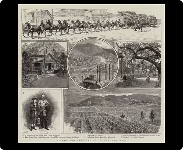 Mining and Vineyarding in the Far West (engraving)