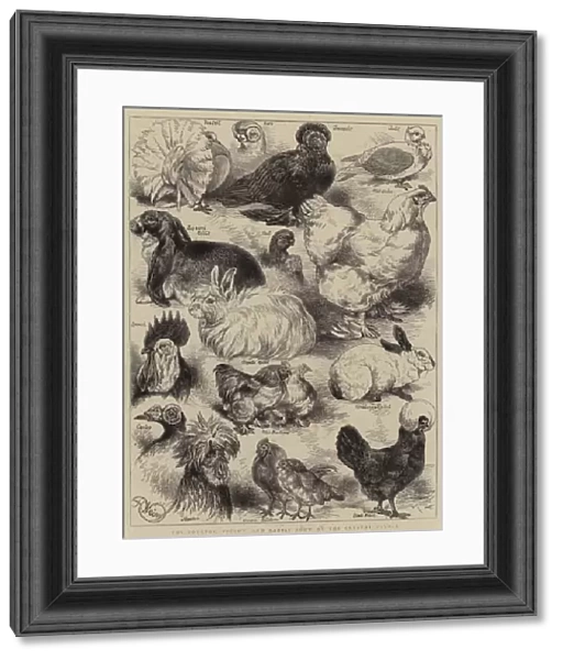 The Poultry, Pigeon, and Rabbit Show at the Crystal Palace (engraving)