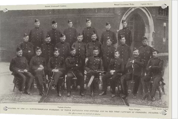 Officers of the 2nd Northumberland Fusiliers, of which Battalion Five Officers and 366 Men were captured at Stormberg, 9 December (b  /  w photo)
