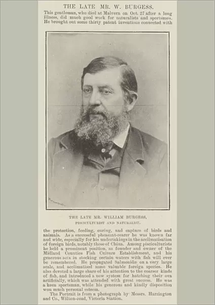 The late Mr William Burgess, Pisciculturist and Naturalist (b  /  w photo)